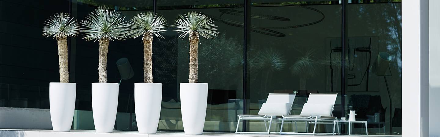 pure soft round high 30cm white